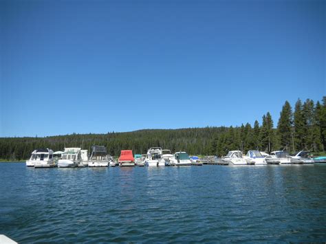 Robyn In Yellowstone: Fishing on Yellowstone Lake