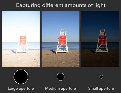 Understanding Aperture for Beginners - Photography Basics