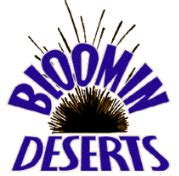 Contact Us | Bloomin Deserts Landscaping and Pools