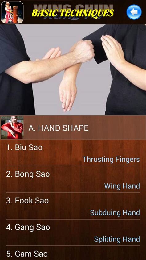 Android 용 Wing Chun Kung Fu APK - 다운로드