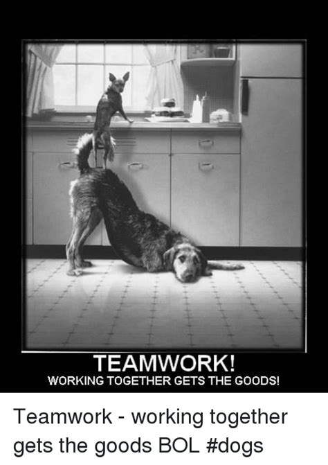 teamwork meme - Google Search | Teamwork quotes, Funny motivational quotes, Funny teamwork quote