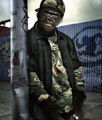 Gangsta monkey