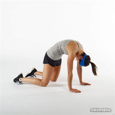 Cat Cow - Exercise How-to - Skimble Workout Trainer