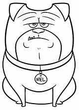 40  Pets Coloring Pages Free Printable PDF & Online sketch template