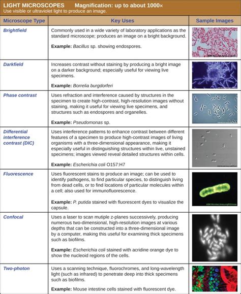 2.3 Instruments of Microscopy – Microbiology: Canadian Edition