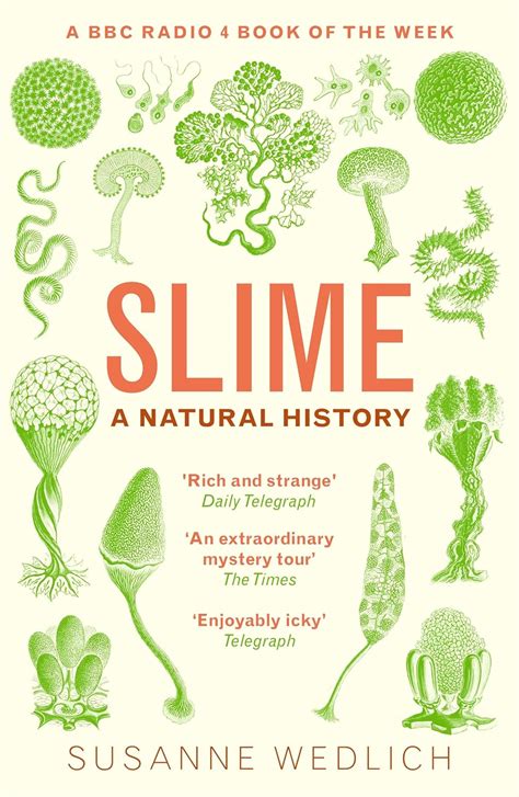 Slime: Susanne Wedlich, Ayca Türkoglu: 9781783786855: Amazon.com: Books