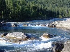 Whitewater Rafting the Elbow River, Alberta | Canmore, Alberta and ...