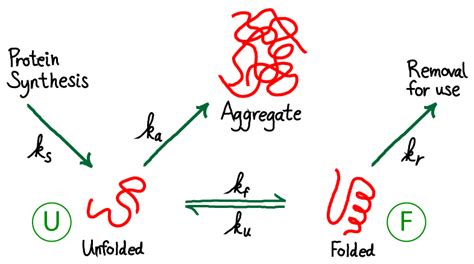 Chaperone-aided Protein Folding | Physical Lens on the Cell