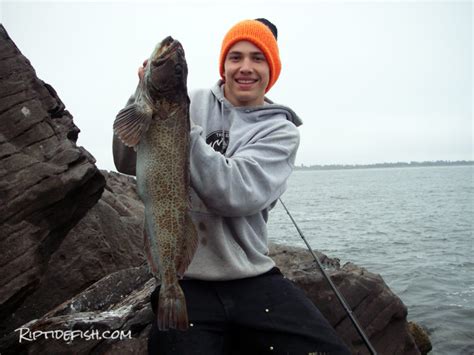 Lingcod Jetty Fishing in Washington