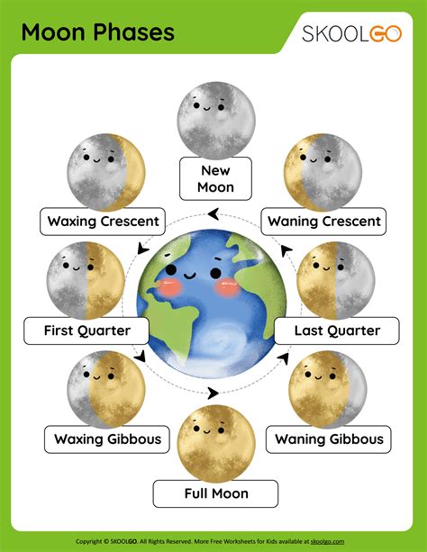 Phases Of The Moon Worksheet Free Printable