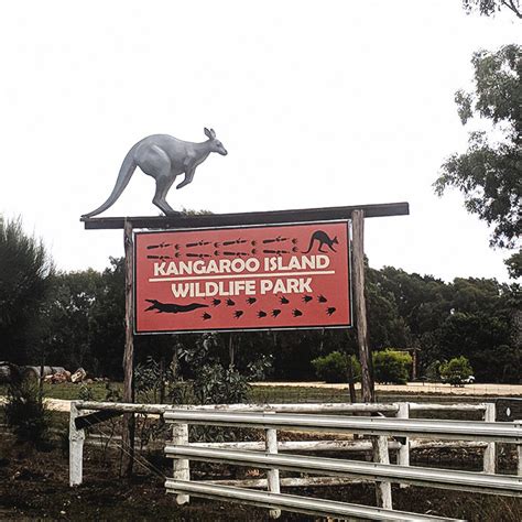 opening_times_kangaroo_island_wildlife_park | Kangaroo Island Wildlife Park