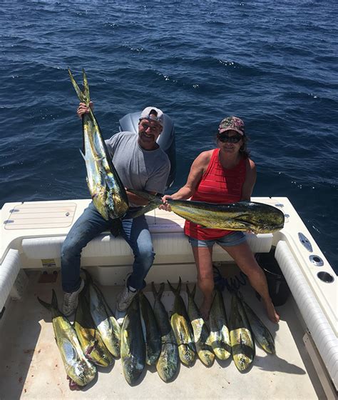 Fish Report - Dana Point Fishing Private Charters