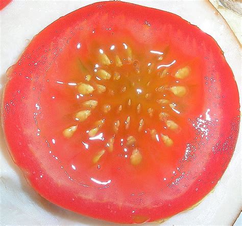 How to Dry Tomato Seeds | Garden Guides