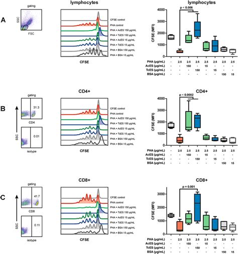 T cell proliferation assay. Cultivating CFSE-stained PBMCs in the... | Download Scientific Diagram