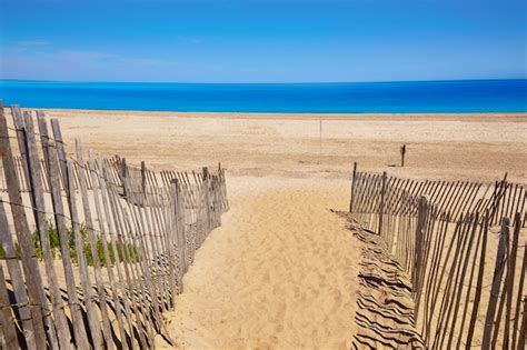 Premium Photo | Cape cod sandy neck beach massachusetts us