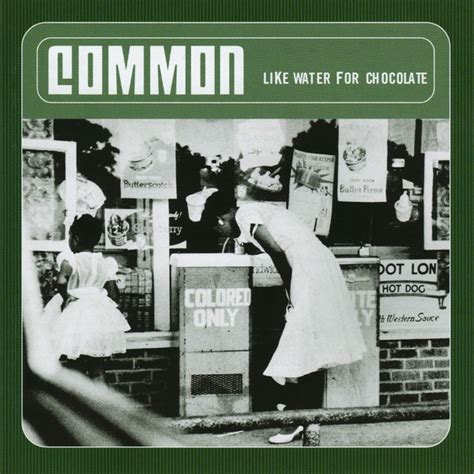 Common - Like Water For Chocolate - LP, Vinyl Music - Mca