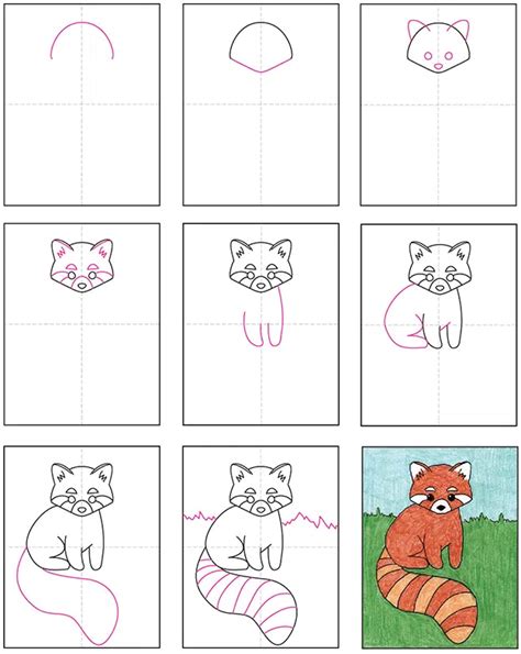 Easy How to Draw a Red Panda Tutorial and Coloring Page