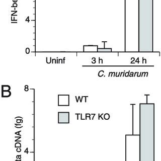 The host TLR3-TRIF pathway is dispensable for chlamydialinduced IFN-b... | Download Scientific ...