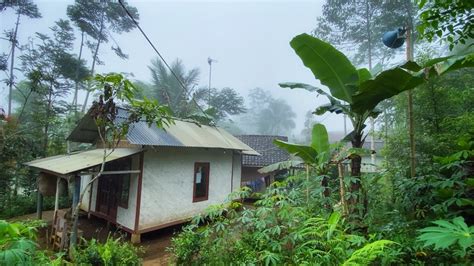 Suasana Pagi Di Kampung Yang Tenang || Udaranya Sejuk Banget Setelah Hujan Turun Di Pedesaan ...