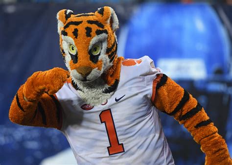 Clemson Tiger mascot on record pace for celebratory push-ups