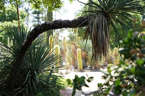 Arizona Cactus Garden Day | PWR Notations