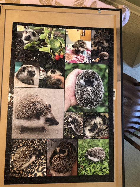 Finished this 1000 piece custom (Shutterfly) puzzle today : r/Jigsawpuzzles