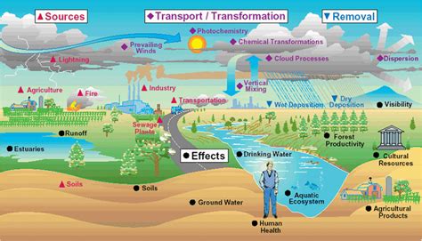 What is Pollution! - Green Revolution- NGO-Pollution