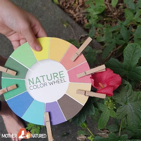 Nature Colour Wheel | Color wheel, Color, Natural color