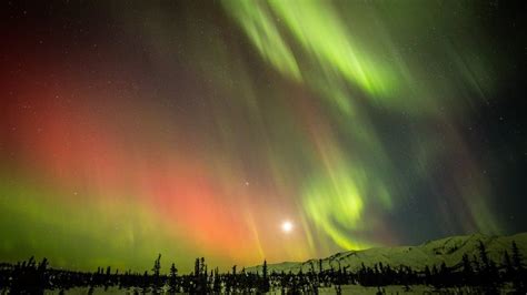 Get Mesmerized with the Northern Lights of Alaska | Found The World