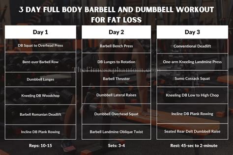 3 Day Dumbbell and Barbell Full Body Home Workout w/PDF - The Fitness ...