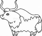 Wild Cartoon Yak Coloring Page Stock Vector  Illustration Of Mammal sketch template