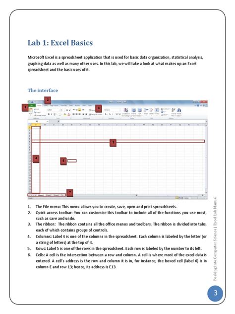 Lab 01 | PDF | Microsoft Excel | Spreadsheet