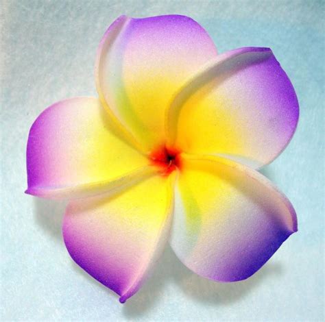 Purple tipped | Tropical flower tattoos, Plumeria flowers, Flowers in hair