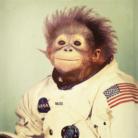 Stream Space-Monkey music | Listen to songs, albums, playlists for free on SoundCloud