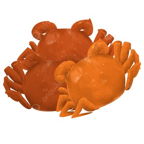 Hairy Crab Hd Transparent, Seafood Hairy Crab Food Illustration, Food, Crab, Hairy Crab PNG ...