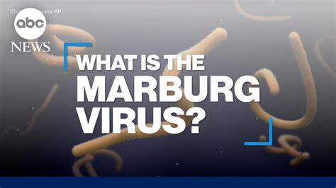 What is Marburg virus disease? – Just News & Views