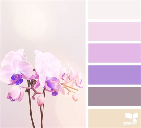 Orchid Hues (With images) | Seeds color palette, Seeds color, Orchid color