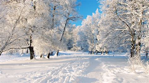 2560X1440 Snow Wallpapers - Top Free 2560X1440 Snow Backgrounds - WallpaperAccess