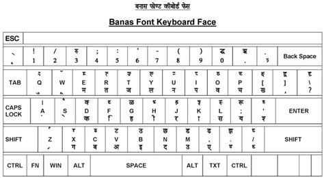 Hindi typing kruti dev 010 - saudilsa