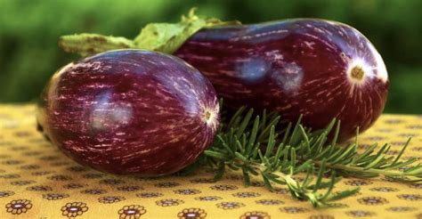 10 Amazing Brinjal Benefits & Side Effects