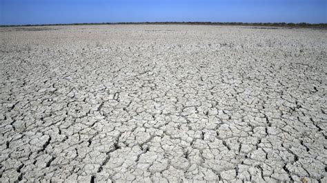 In pictures: Spain faces devastating drought