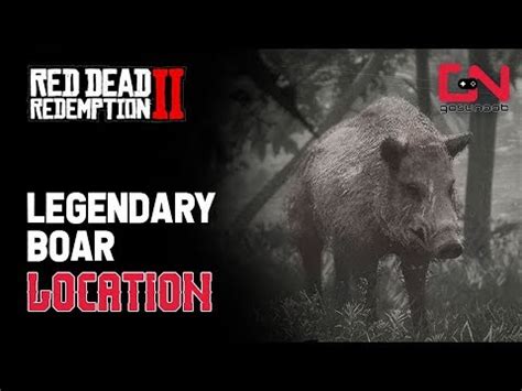 Red Dead Redemption 2 - Legendary Boar Location - YouTube