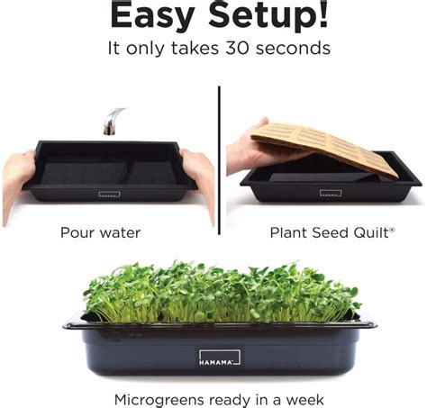 HAMAMA Micro Greens Home Growing Kit Review - OptimizedLife