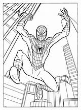 Free Printable Spiderman Coloring Pages For Kids sketch template