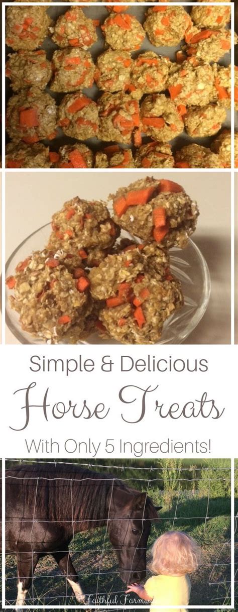 How to Make Simple Homemade Horse Treats | Recipe | Homemade horse ...