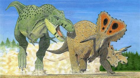 Tyrannosaurus rex might actually be three species