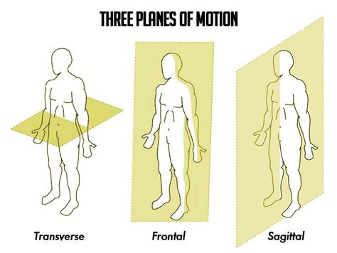 Human Body Planes Of Motion