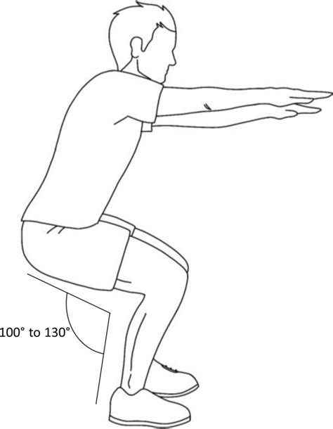 Schematic illustration of the performance of a squat | Download Scientific Diagram