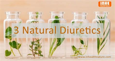 What Are Effective Natural Diuretics? - News - Shaanxi Inhealth Nature ...