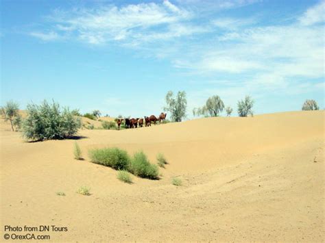 Turkmenistan pictures :: Turkmenistan deserts